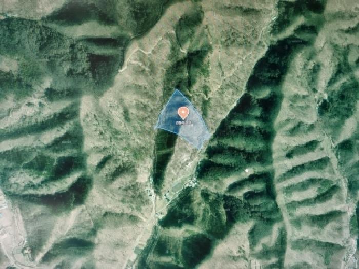 충남 금산군 남이면 임야 경매 물건 사진