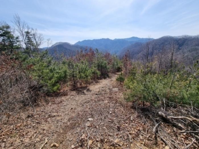 충남 금산군 남이면 임야 경매 물건 사진 2 · 2026타경120