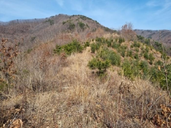 충남 금산군 남이면 임야 경매 물건 사진 3 · 2026타경120