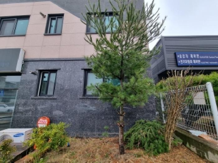 대전 동구 낭월동 단독주택다가구 경매 물건 사진