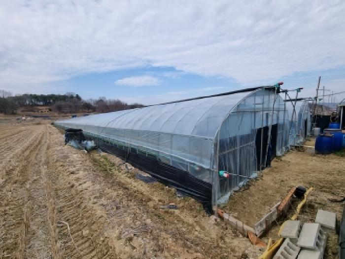 충남 금산군 금성면 전답 경매 물건 사진 4 · 2026타경124