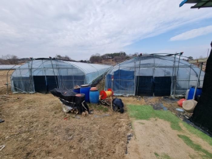 충남 금산군 금성면 전답 경매 물건 사진 5 · 2026타경124