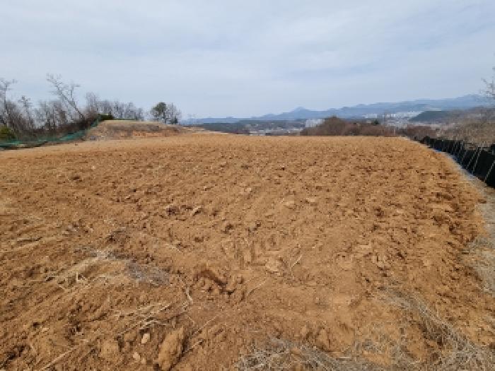 충남 금산군 금산읍 전답 경매 물건 사진