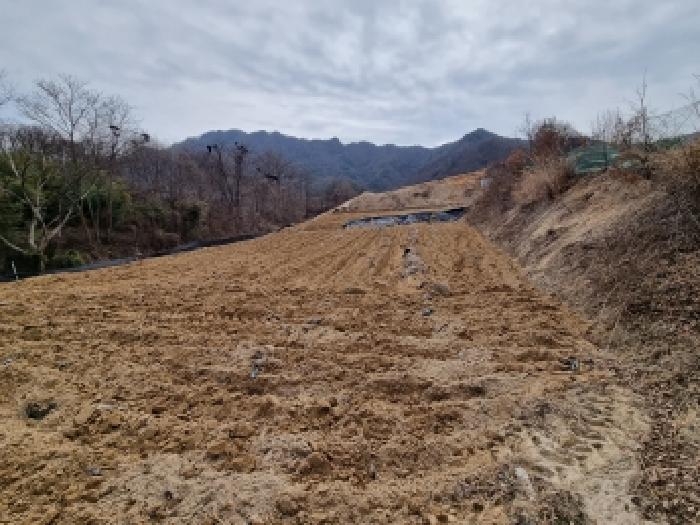 충남 금산군 금산읍 전답 경매 물건 사진 5 · 2026타경125