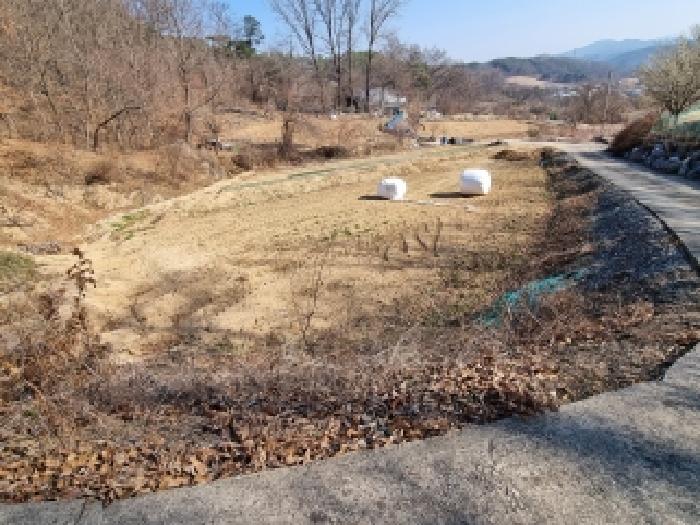 충남 금산군 군북면 답 경매 물건 사진