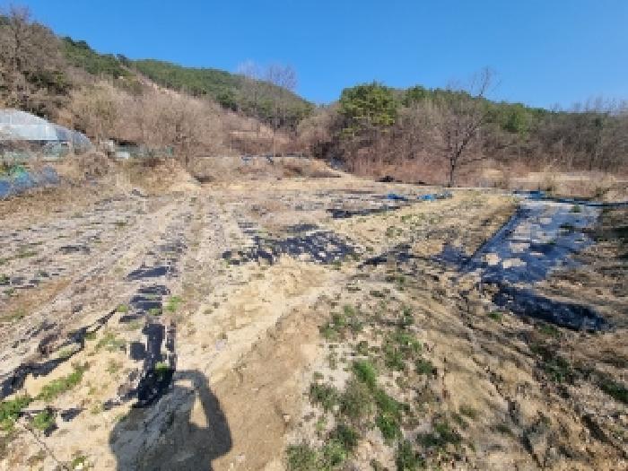 충남 금산군 군북면 답 경매 물건 사진 5 · 2026타경127