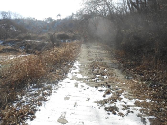 세종 전동면 전답 경매 물건 사진
