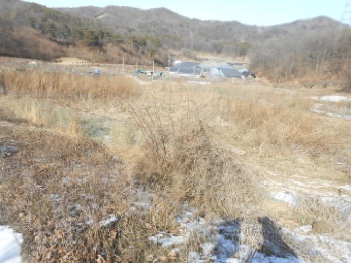 세종 전동면 전답 경매 물건 사진 2 · 2026타경16
