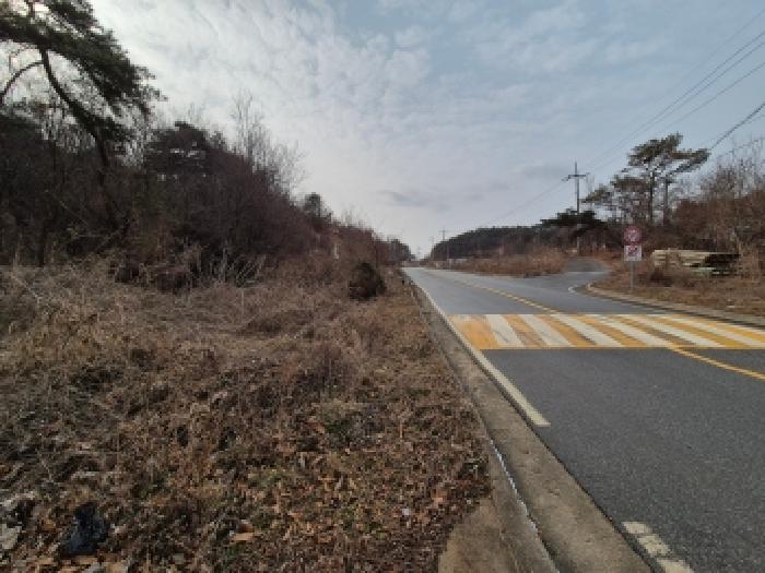세종 금남면 전답 경매 물건 사진