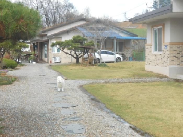 세종 연기면 임야 경매 물건 사진 2 · 2026타경189