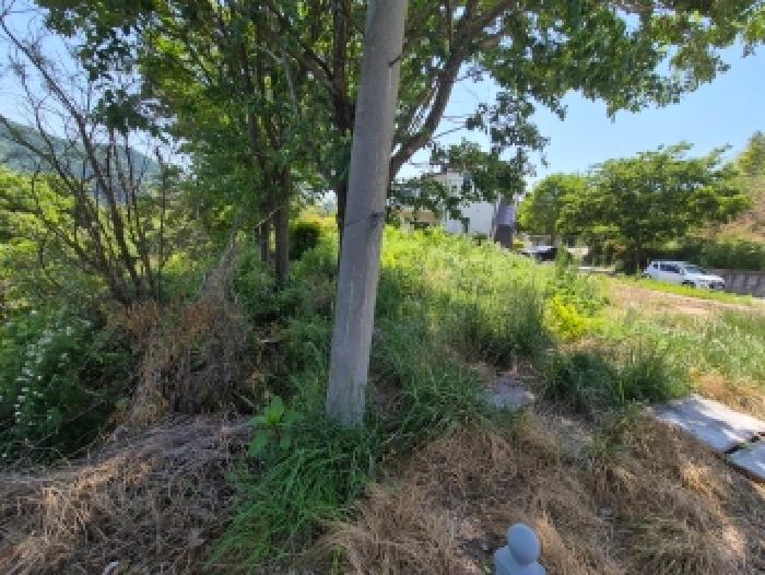 세종 장군면 대지 경매 물건 사진 4 · 2026타경258