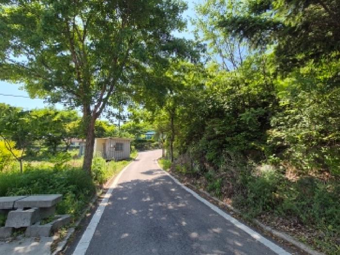 세종 장군면 대지 경매 물건 사진 6 · 2026타경258