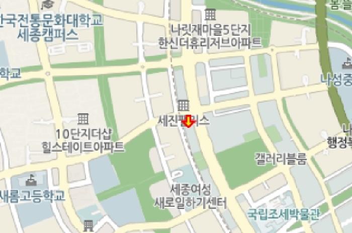 세종 나성동 상가,오피스텔,근린시설 경매 물건 사진 5 · 2026타경275