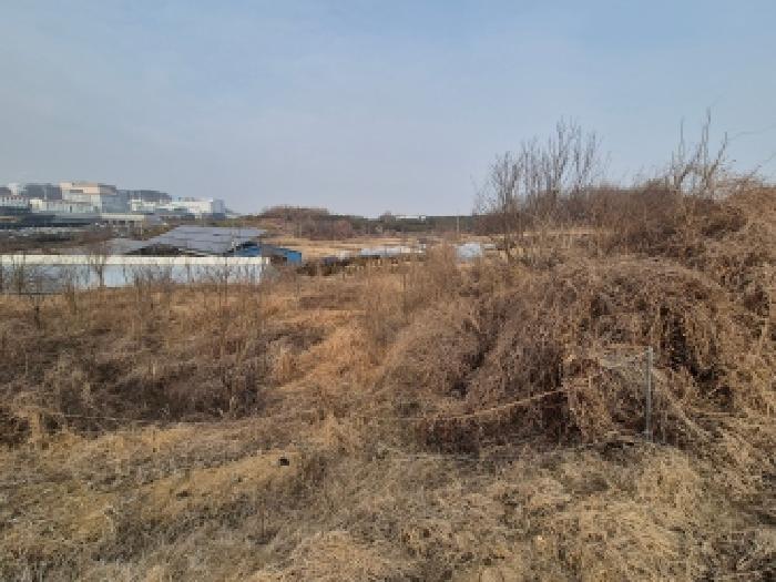 세종 연동면 답 경매 물건 사진 4 · 2026타경36