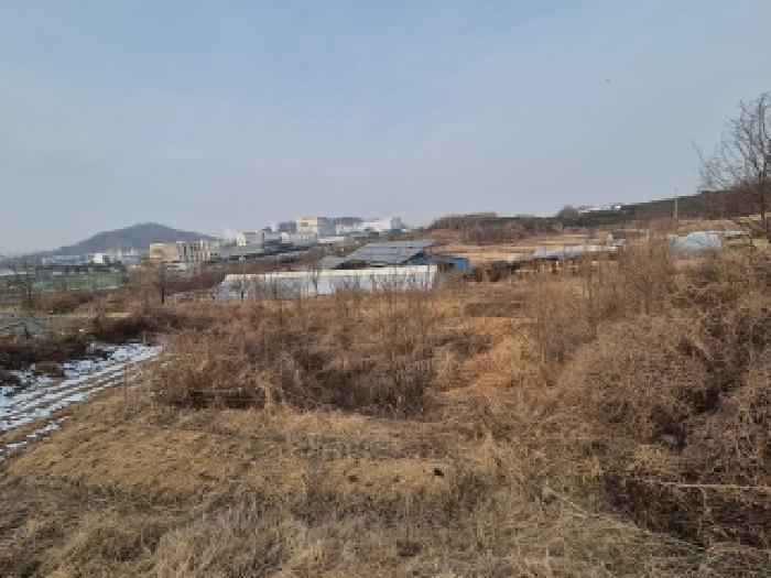 세종 연동면 답 경매 물건 사진 5 · 2026타경36