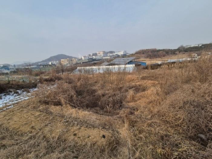 세종 연동면 답 경매 물건 사진 6 · 2026타경36