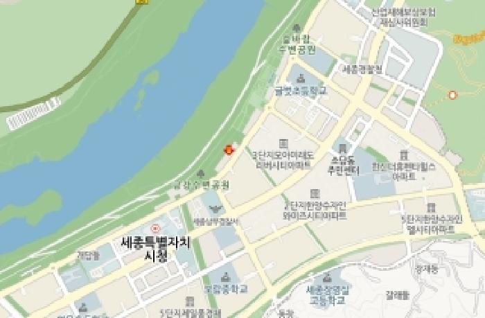 세종 보람동 상가,오피스텔,근린시설 경매 물건 사진 5 · 2026타경42