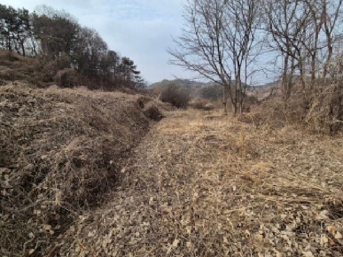 세종 금남면 답 경매 물건 사진