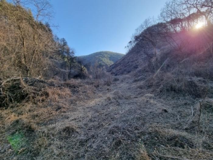 충남 금산군 복수면 전답 경매 물건 사진 2 · 2026타경49