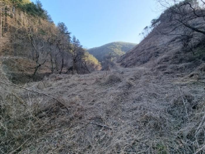 충남 금산군 복수면 전답 경매 물건 사진 3 · 2026타경49
