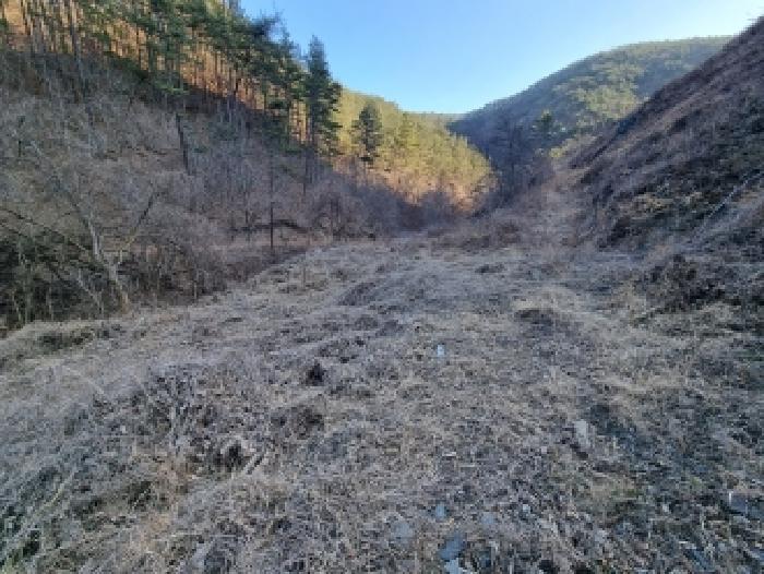 충남 금산군 복수면 전답 경매 물건 사진 4 · 2026타경49