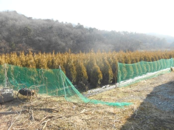 세종 전의면 전답 경매 물건 사진