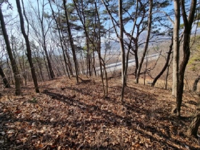 충남 금산군 군북면 임야 경매 물건 사진