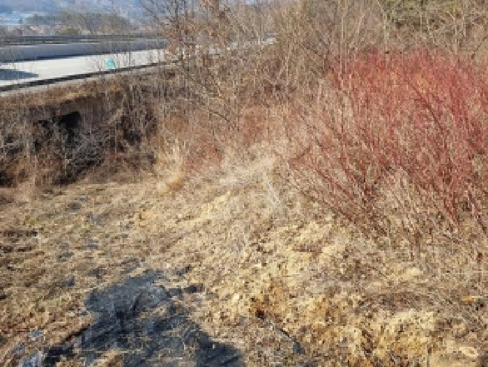 충남 금산군 군북면 임야 경매 물건 사진 2 · 2026타경600014