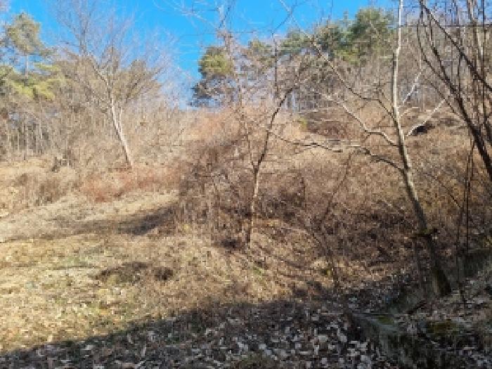 충남 금산군 군북면 임야 경매 물건 사진 3 · 2026타경600014