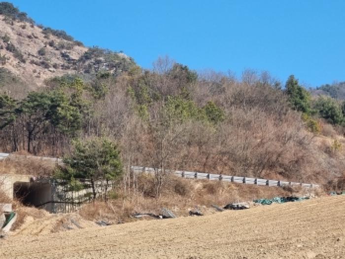 충남 금산군 군북면 임야 경매 물건 사진 6 · 2026타경600014