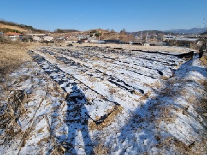 충남 금산군 금산읍 단독주택 경매 물건 사진