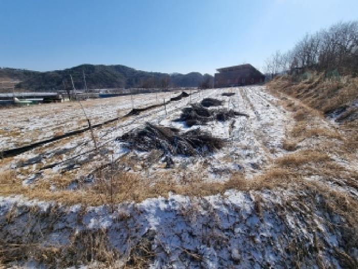 충남 금산군 금산읍 단독주택 경매 물건 사진 3 · 2026타경600042