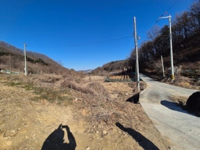 세종 장군면 전답 경매 물건 사진