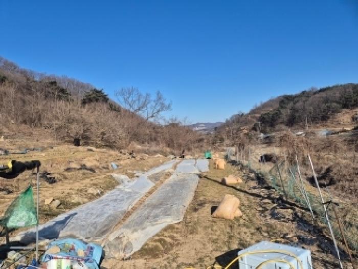 세종 장군면 전답 경매 물건 사진 5 · 2026타경600084