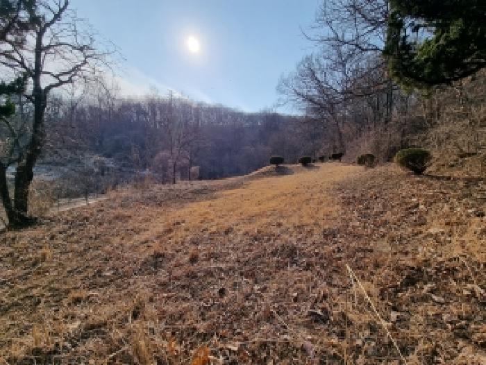 충남 금산군 복수면 과수원 경매 물건 사진