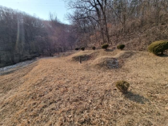 충남 금산군 복수면 과수원 경매 물건 사진 2 · 2026타경600106