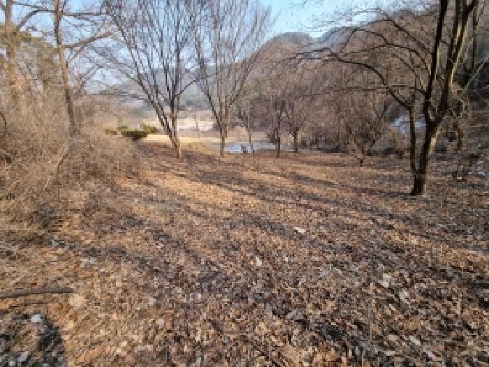 충남 금산군 복수면 과수원 경매 물건 사진 4 · 2026타경600106