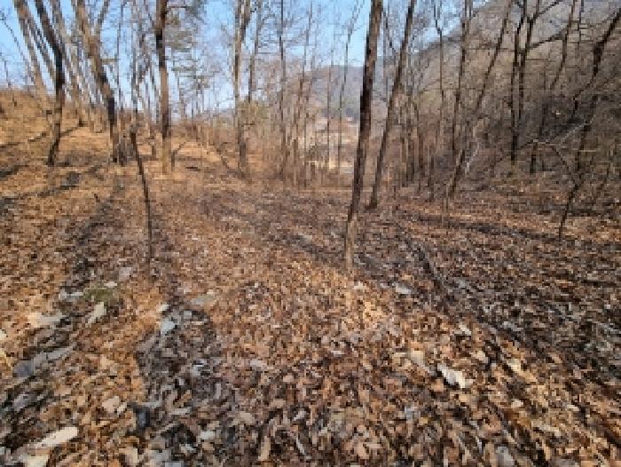 충남 금산군 복수면 과수원 경매 물건 사진 5 · 2026타경600106