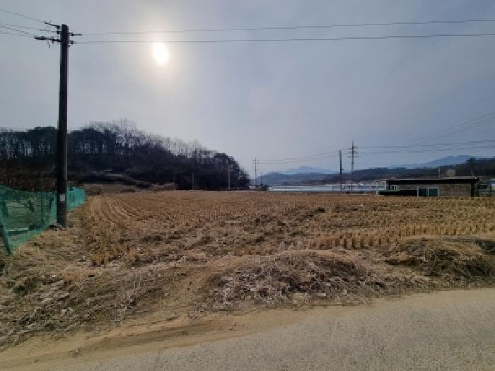 충남 금산군 금성면 답 경매 물건 사진 3 · 2026타경600144