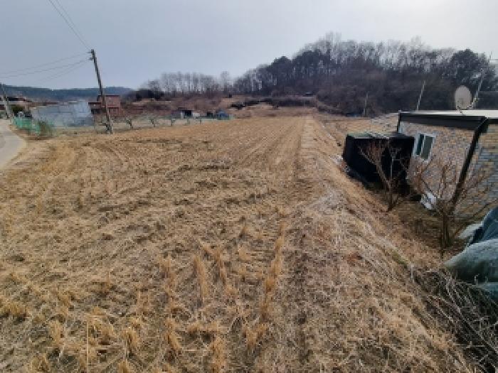 충남 금산군 금성면 답 경매 물건 사진 5 · 2026타경600144