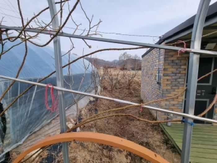 충남 금산군 금성면 답 경매 물건 사진 6 · 2026타경600144