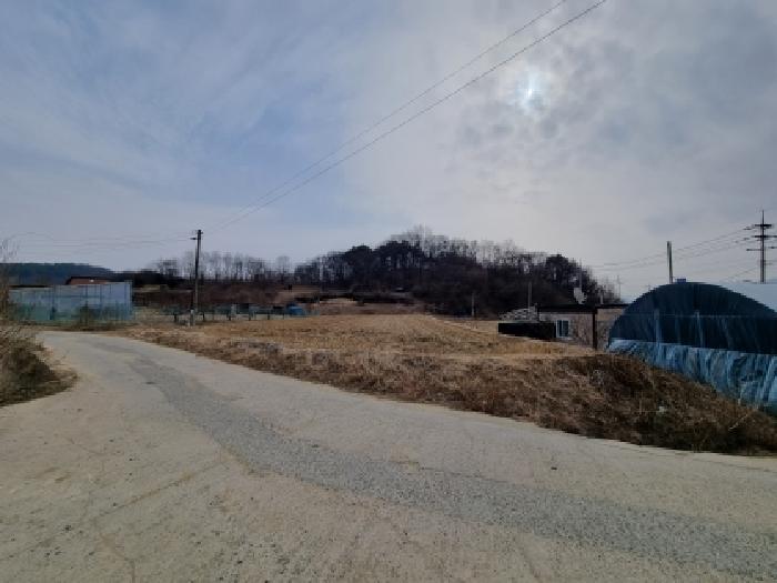 충남 금산군 금성면 답 경매 물건 사진