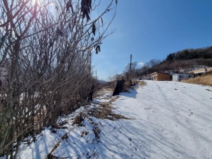 대전 동구 삼정동 대지,임야,전답 경매 물건 사진