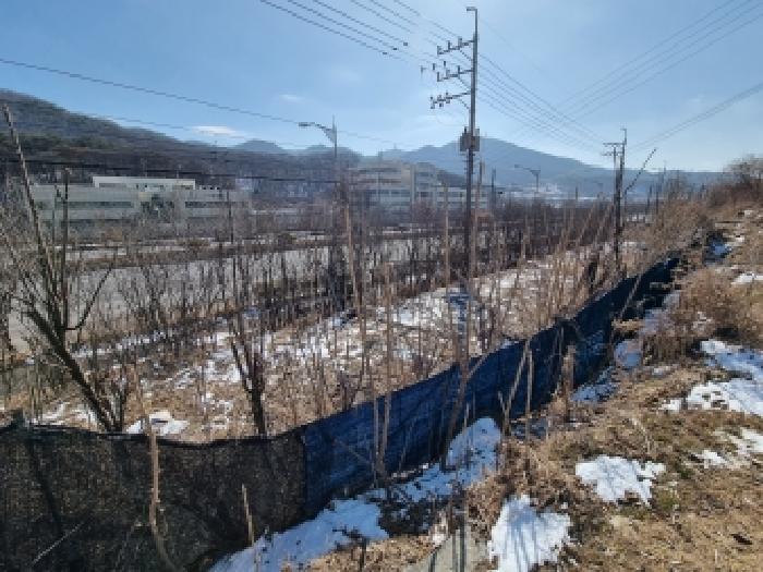 대전 동구 삼정동 대지,임야,전답 경매 물건 사진 2 · 2026타경600149