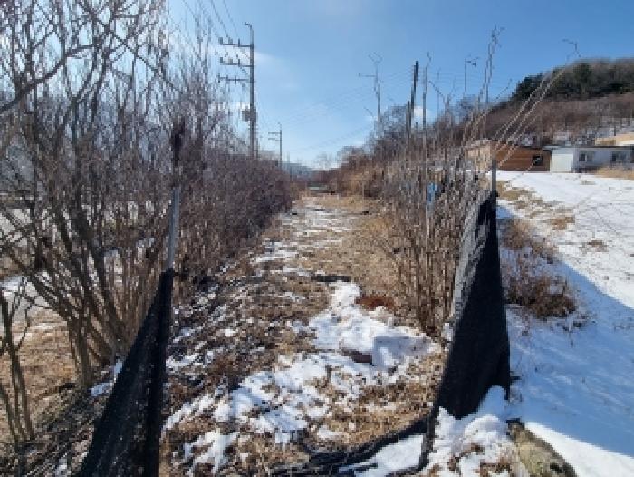 대전 동구 삼정동 대지,임야,전답 경매 물건 사진 3 · 2026타경600149