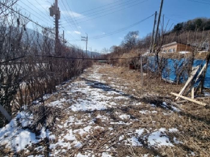 대전 동구 삼정동 대지,임야,전답 경매 물건 사진 4 · 2026타경600149