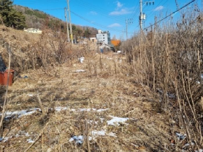 대전 동구 삼정동 대지,임야,전답 경매 물건 사진 5 · 2026타경600149