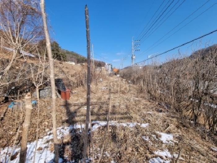 대전 동구 삼정동 대지,임야,전답 경매 물건 사진 6 · 2026타경600149