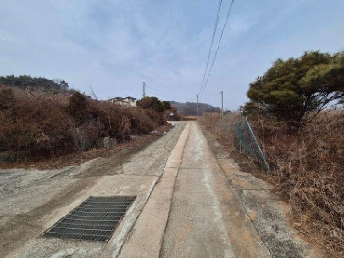 세종 장군면 임야 경매 물건 사진 3 · 2026타경600161