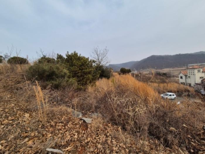 세종 장군면 임야 경매 물건 사진 5 · 2026타경600161